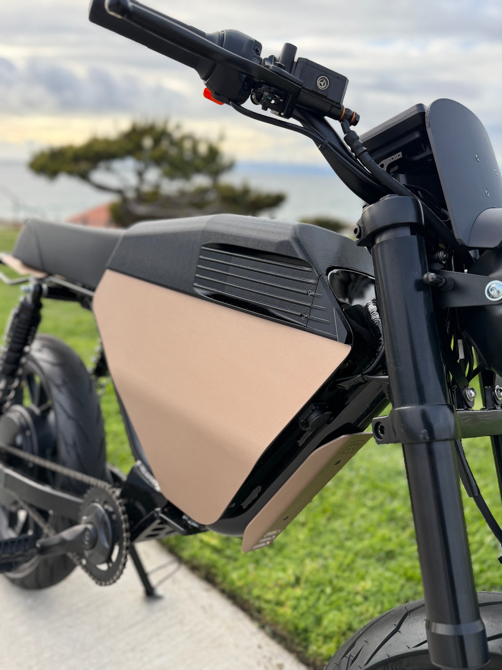 Onyx RCR 80V Battery Cover - Strakes